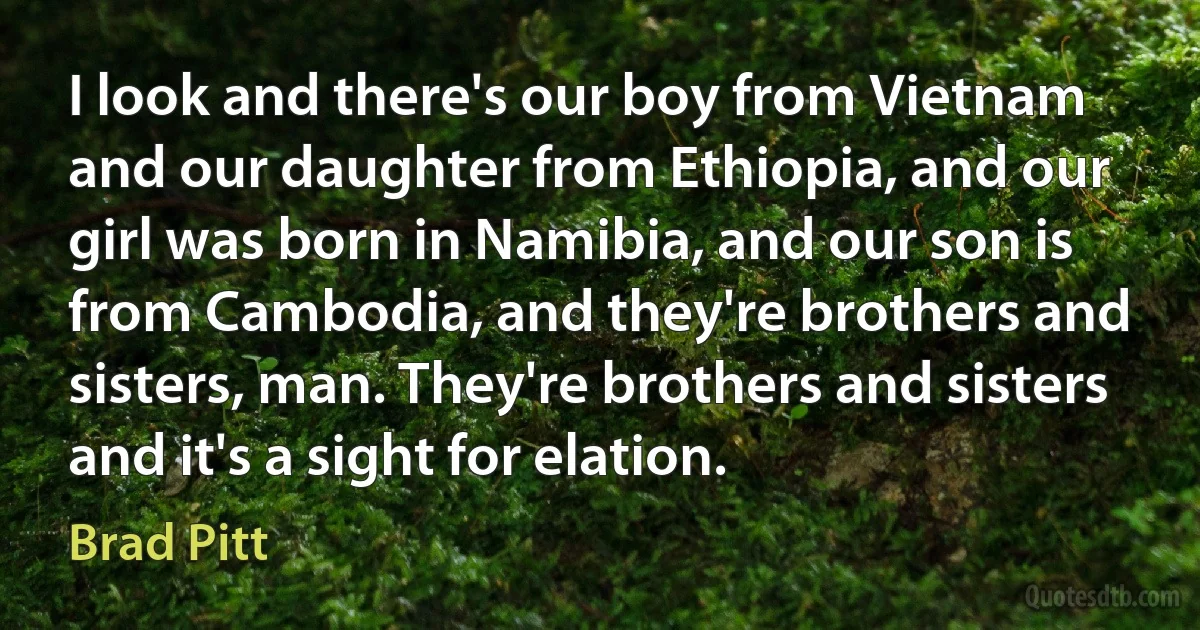 I look and there's our boy from Vietnam and our daughter from Ethiopia, and our girl was born in Namibia, and our son is from Cambodia, and they're brothers and sisters, man. They're brothers and sisters and it's a sight for elation. (Brad Pitt)