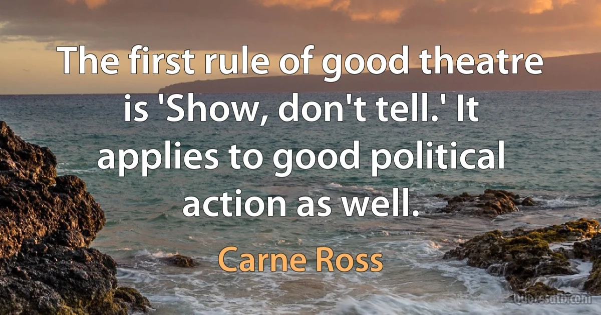 The first rule of good theatre is 'Show, don't tell.' It applies to good political action as well. (Carne Ross)