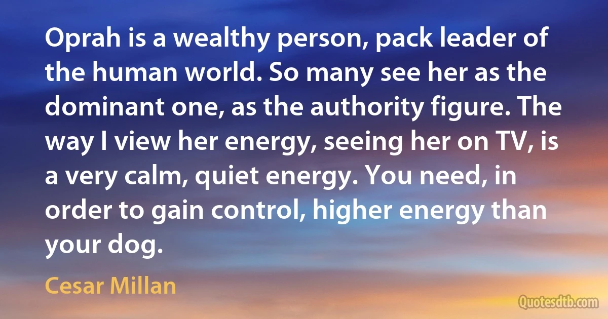 Oprah is a wealthy person, pack leader of the human world. So many see her as the dominant one, as the authority figure. The way I view her energy, seeing her on TV, is a very calm, quiet energy. You need, in order to gain control, higher energy than your dog. (Cesar Millan)