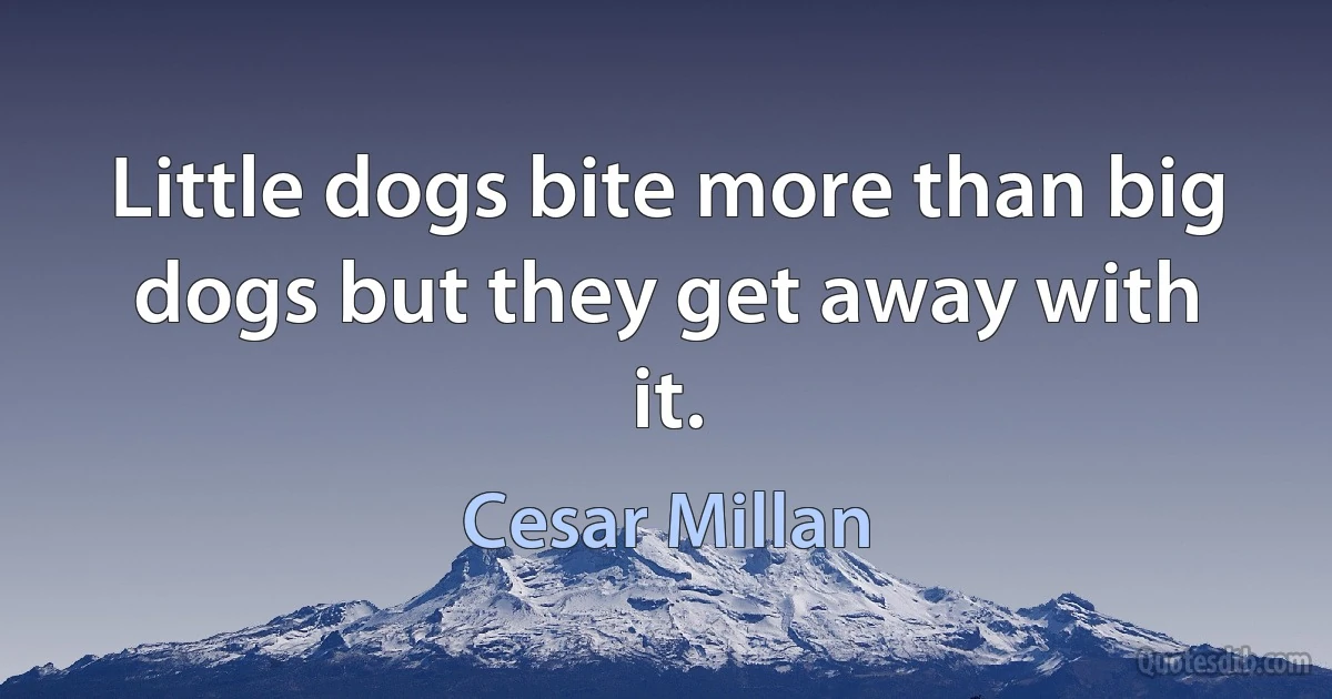 Little dogs bite more than big dogs but they get away with it. (Cesar Millan)