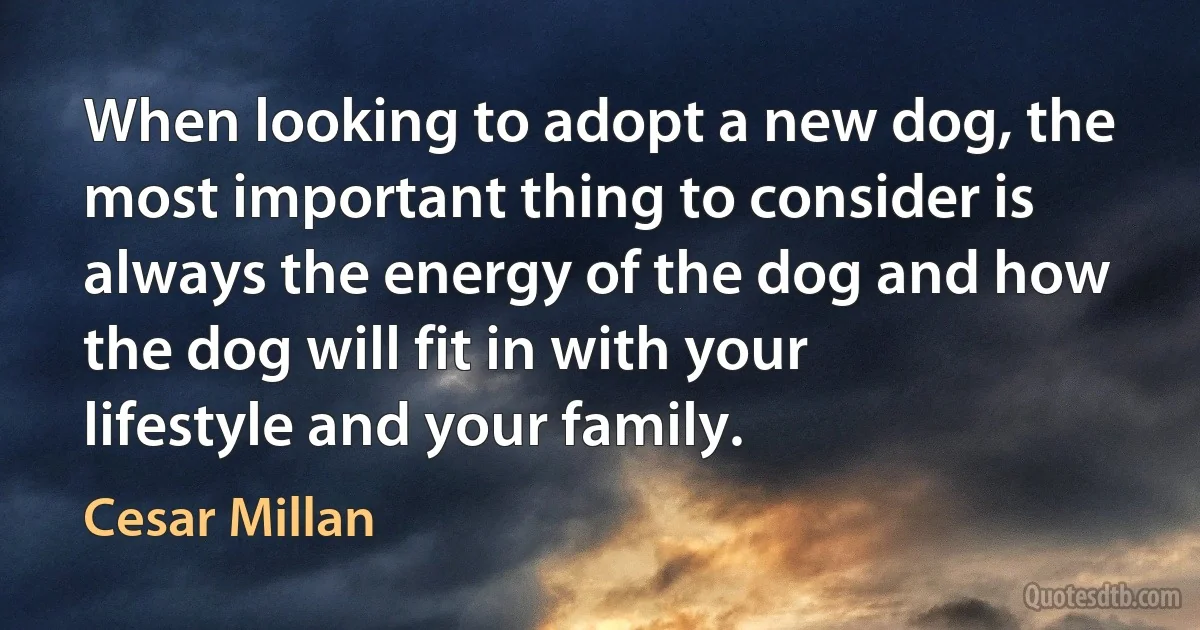 When looking to adopt a new dog, the most important thing to consider is always the energy of the dog and how the dog will fit in with your lifestyle and your family. (Cesar Millan)