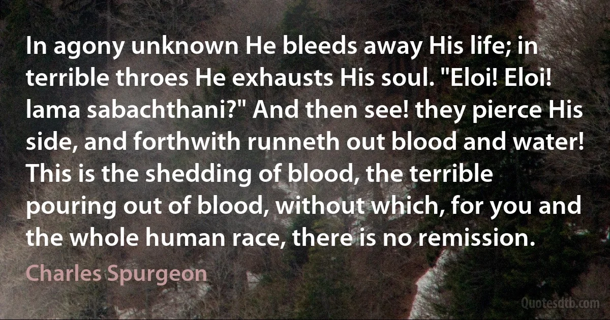 In agony unknown He bleeds away His life; in terrible throes He exhausts His soul. "Eloi! Eloi! lama sabachthani?" And then see! they pierce His side, and forthwith runneth out blood and water! This is the shedding of blood, the terrible pouring out of blood, without which, for you and the whole human race, there is no remission. (Charles Spurgeon)