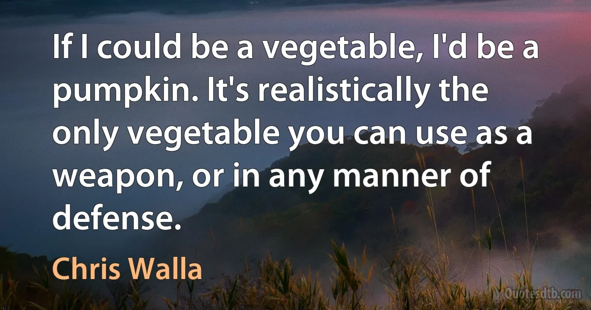 If I could be a vegetable, I'd be a pumpkin. It's realistically the only vegetable you can use as a weapon, or in any manner of defense. (Chris Walla)