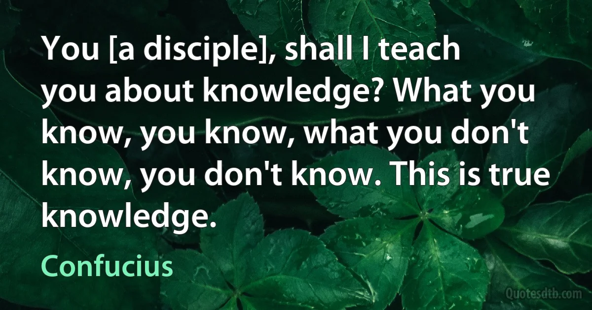 You [a disciple], shall I teach you about knowledge? What you know, you know, what you don't know, you don't know. This is true knowledge. (Confucius)