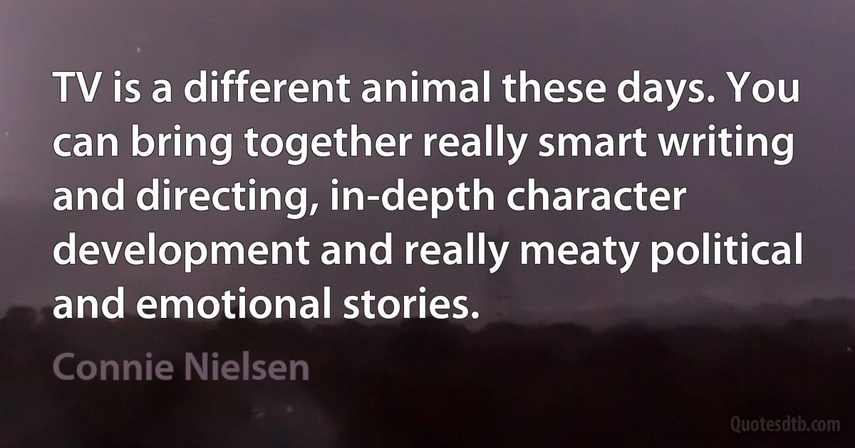 TV is a different animal these days. You can bring together really smart writing and directing, in-depth character development and really meaty political and emotional stories. (Connie Nielsen)