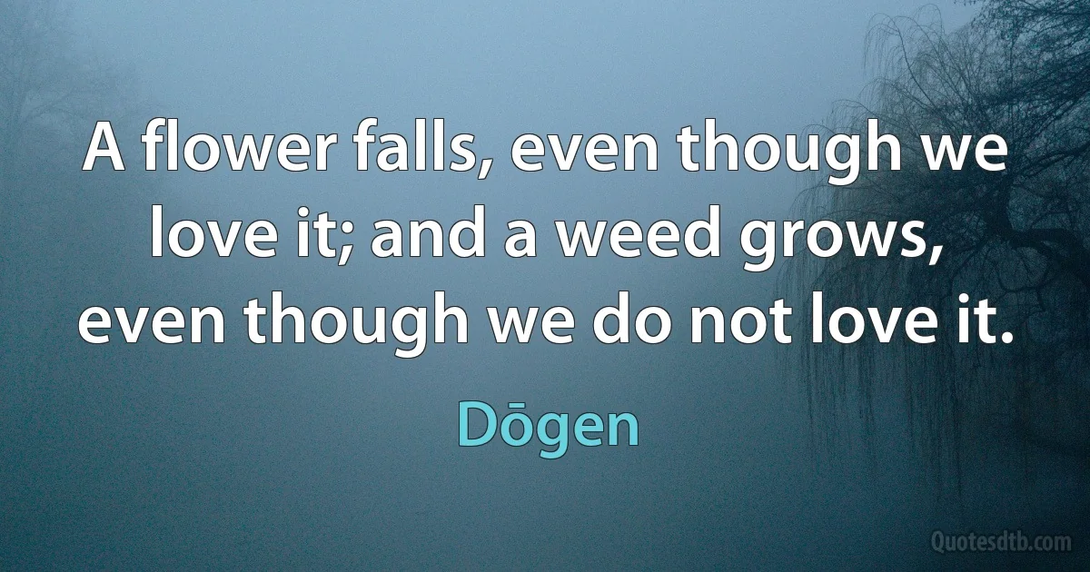 A flower falls, even though we love it; and a weed grows, even though we do not love it. (Dōgen)