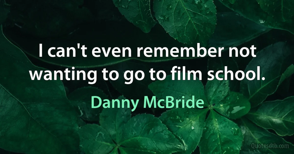 I can't even remember not wanting to go to film school. (Danny McBride)