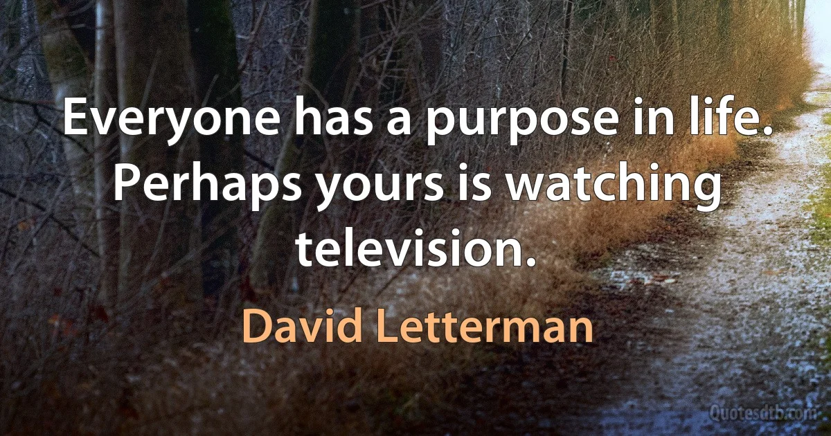 Everyone has a purpose in life. Perhaps yours is watching television. (David Letterman)