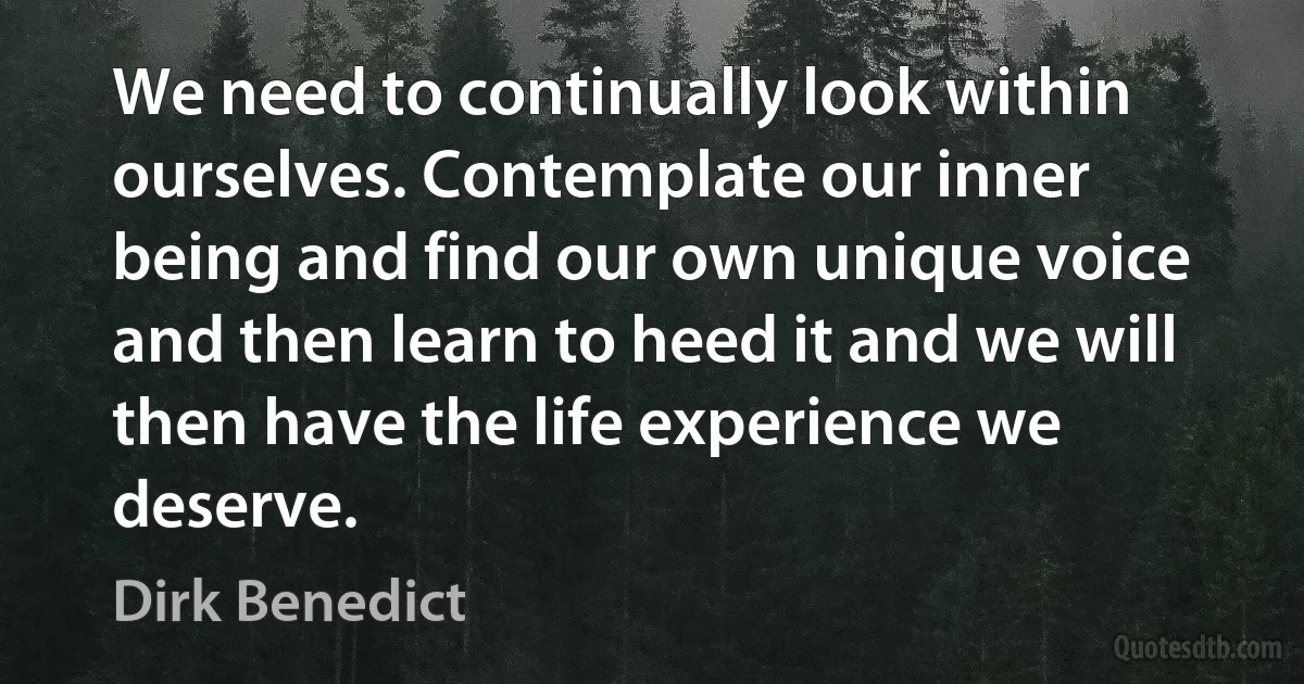 We need to continually look within ourselves. Contemplate our inner being and find our own unique voice and then learn to heed it and we will then have the life experience we deserve. (Dirk Benedict)