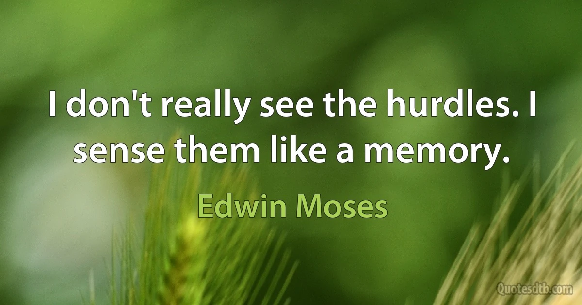 I don't really see the hurdles. I sense them like a memory. (Edwin Moses)