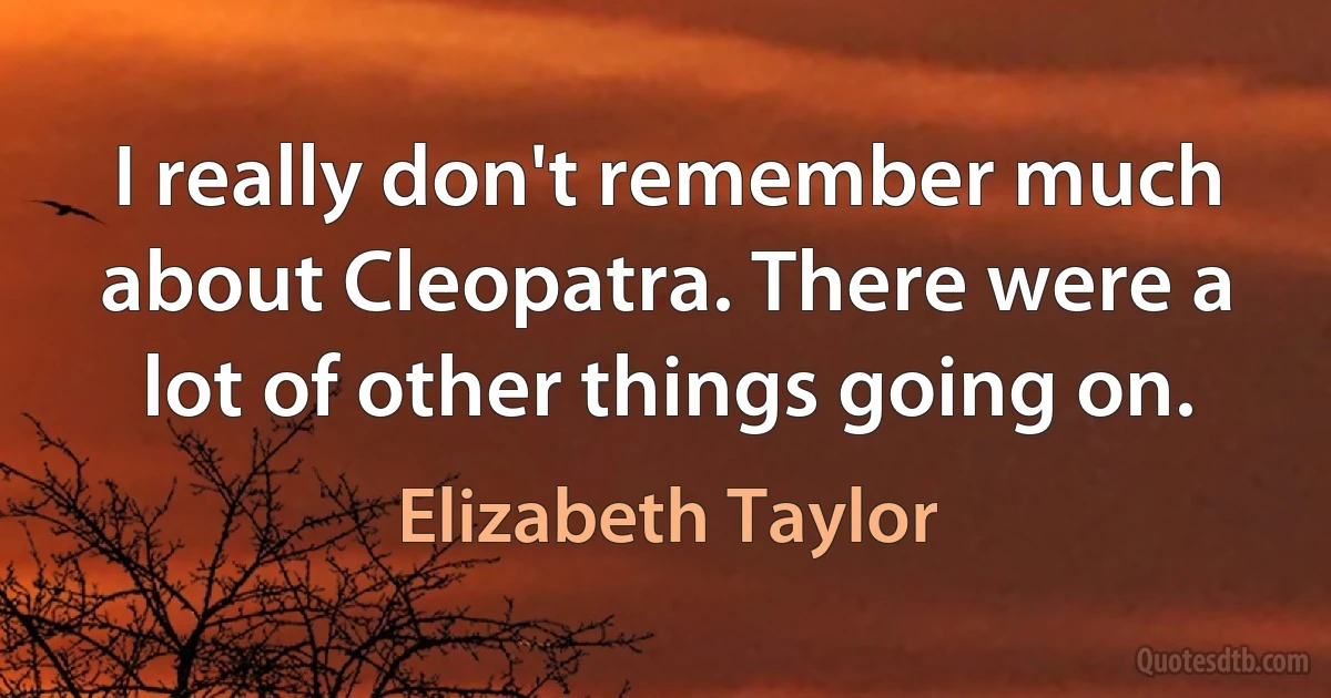 I really don't remember much about Cleopatra. There were a lot of other things going on. (Elizabeth Taylor)