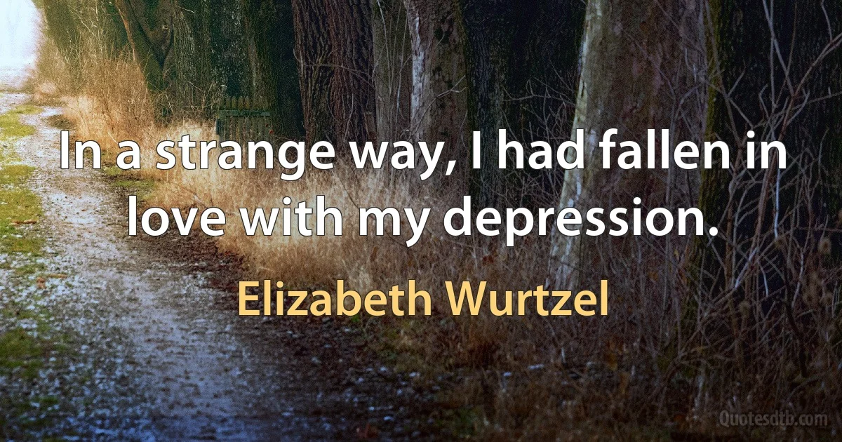 In a strange way, I had fallen in love with my depression. (Elizabeth Wurtzel)