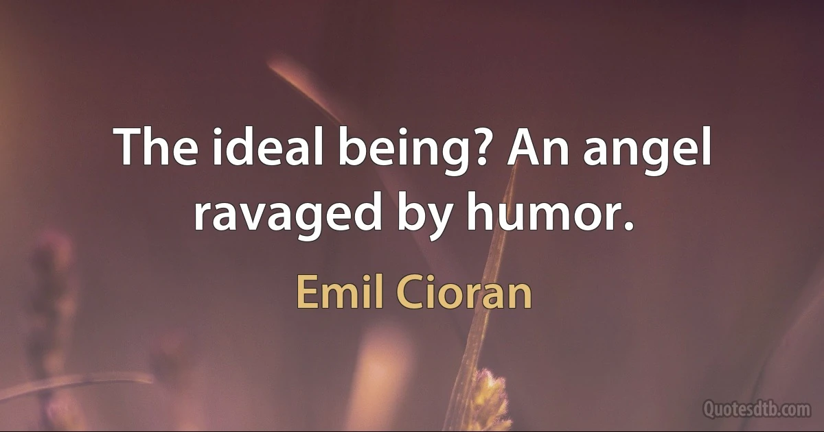 The ideal being? An angel ravaged by humor. (Emil Cioran)