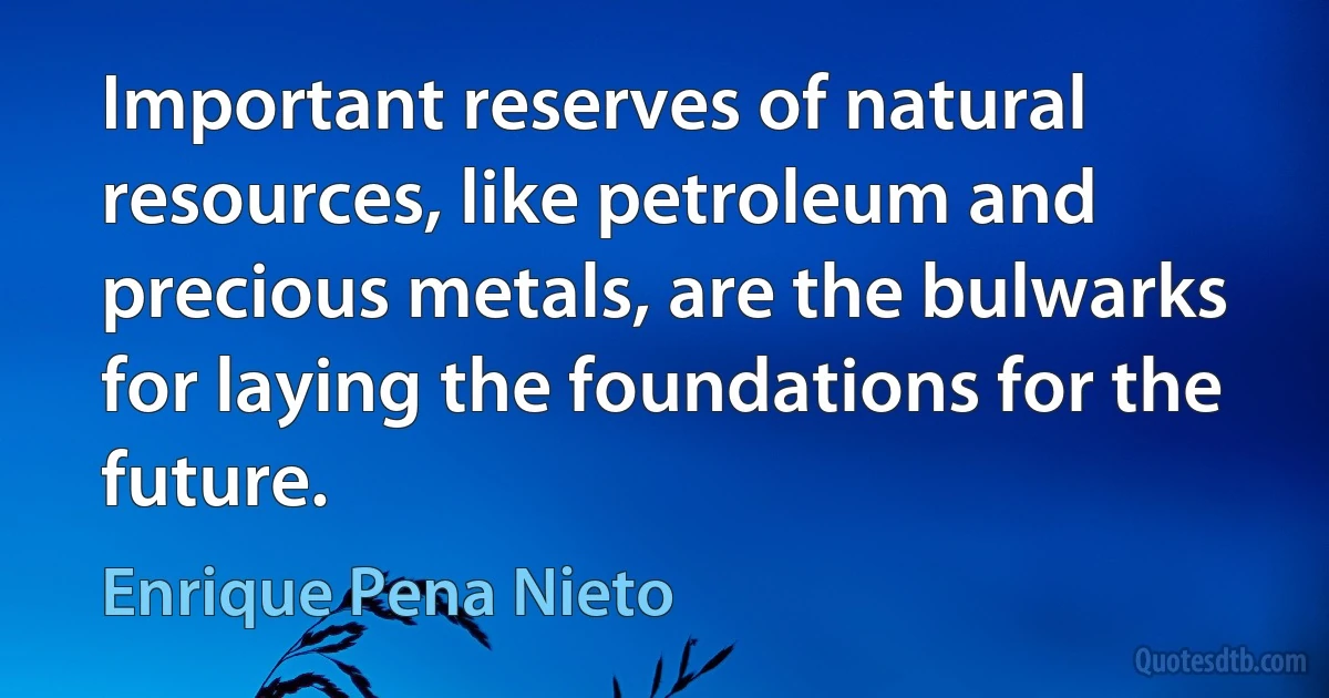 Important reserves of natural resources, like petroleum and precious metals, are the bulwarks for laying the foundations for the future. (Enrique Pena Nieto)