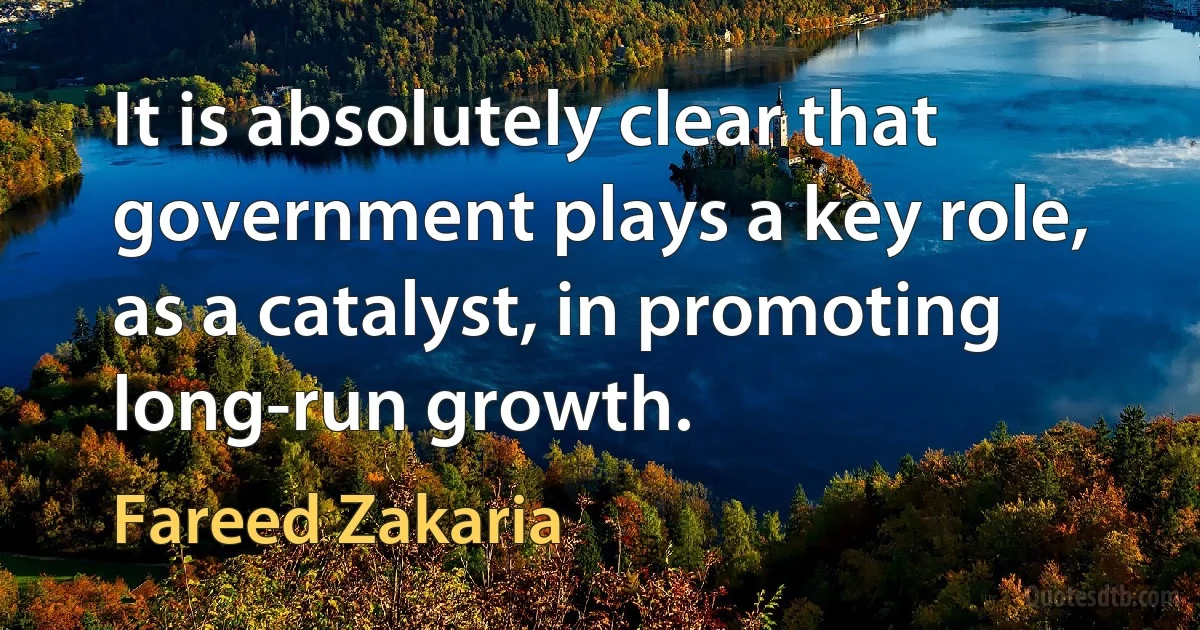 It is absolutely clear that government plays a key role, as a catalyst, in promoting long-run growth. (Fareed Zakaria)