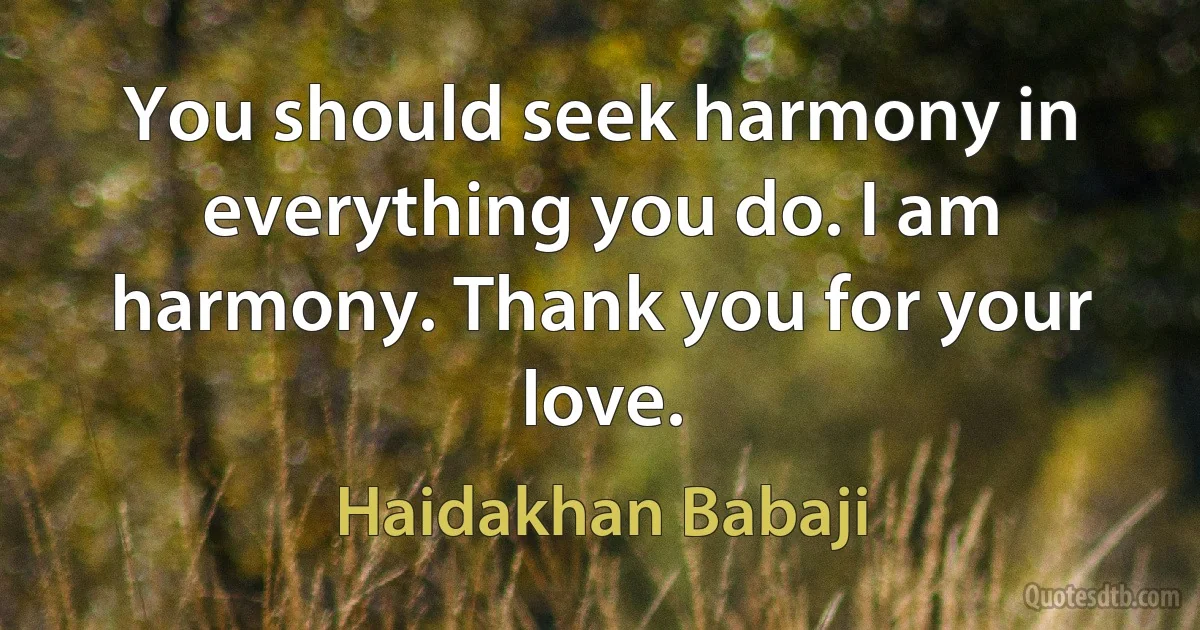 You should seek harmony in everything you do. I am harmony. Thank you for your love. (Haidakhan Babaji)