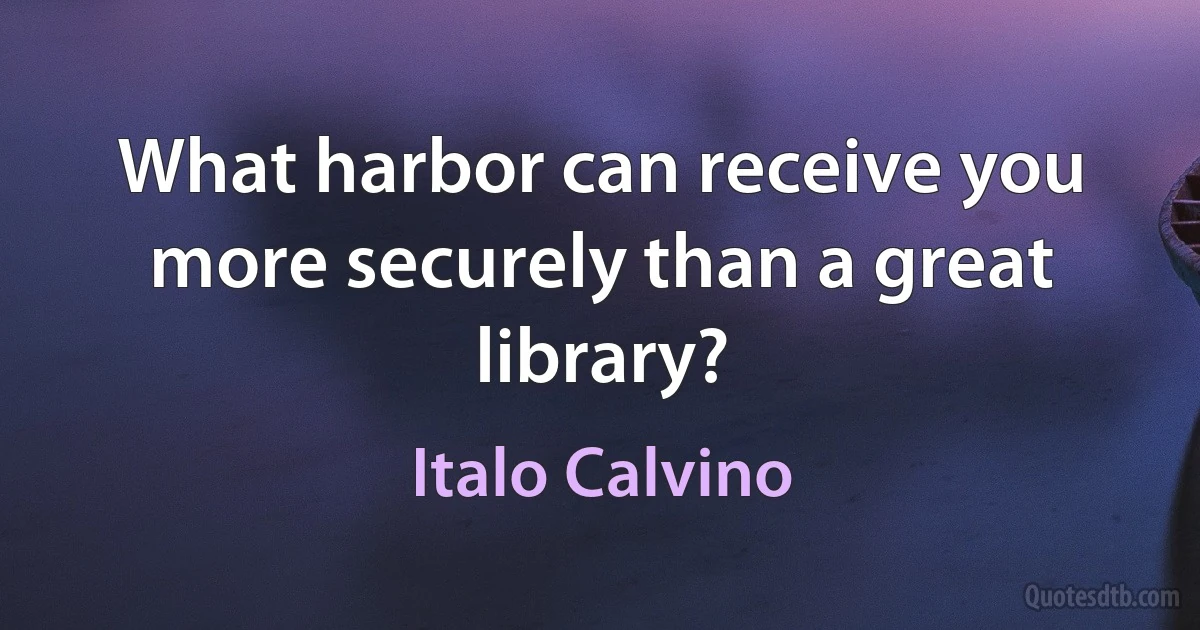 What harbor can receive you more securely than a great library? (Italo Calvino)