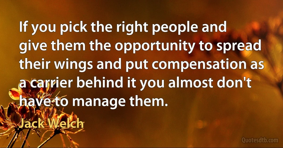 If you pick the right people and give them the opportunity to spread their wings and put compensation as a carrier behind it you almost don't have to manage them. (Jack Welch)