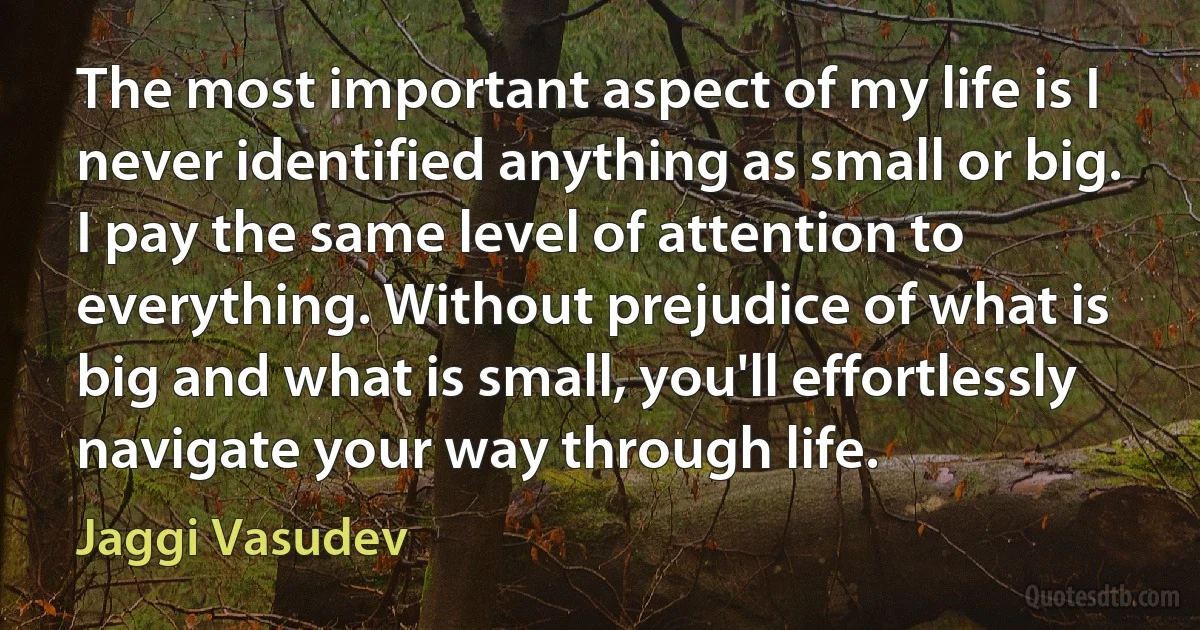 The most important aspect of my life is I never identified anything as small or big. I pay the same level of attention to everything. Without prejudice of what is big and what is small, you'll effortlessly navigate your way through life. (Jaggi Vasudev)