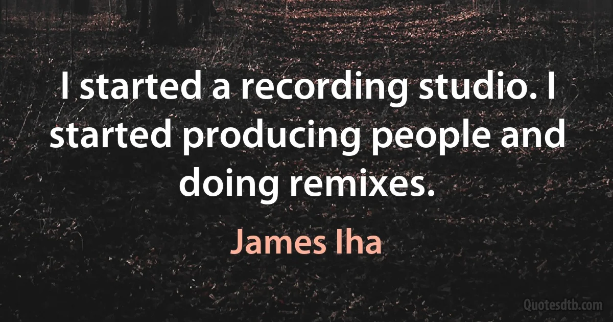 I started a recording studio. I started producing people and doing remixes. (James Iha)