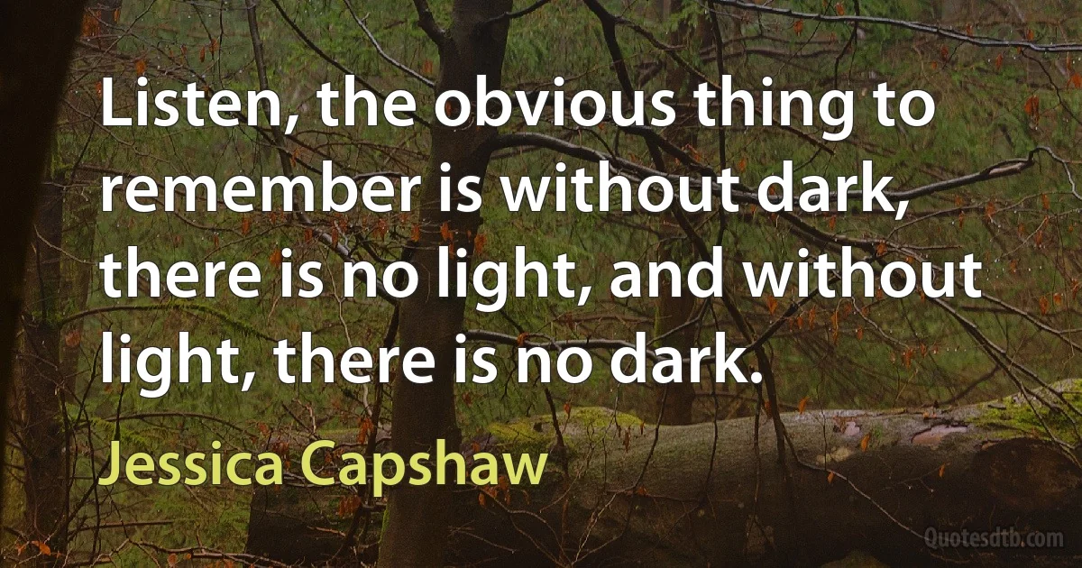 Listen, the obvious thing to remember is without dark, there is no light, and without light, there is no dark. (Jessica Capshaw)