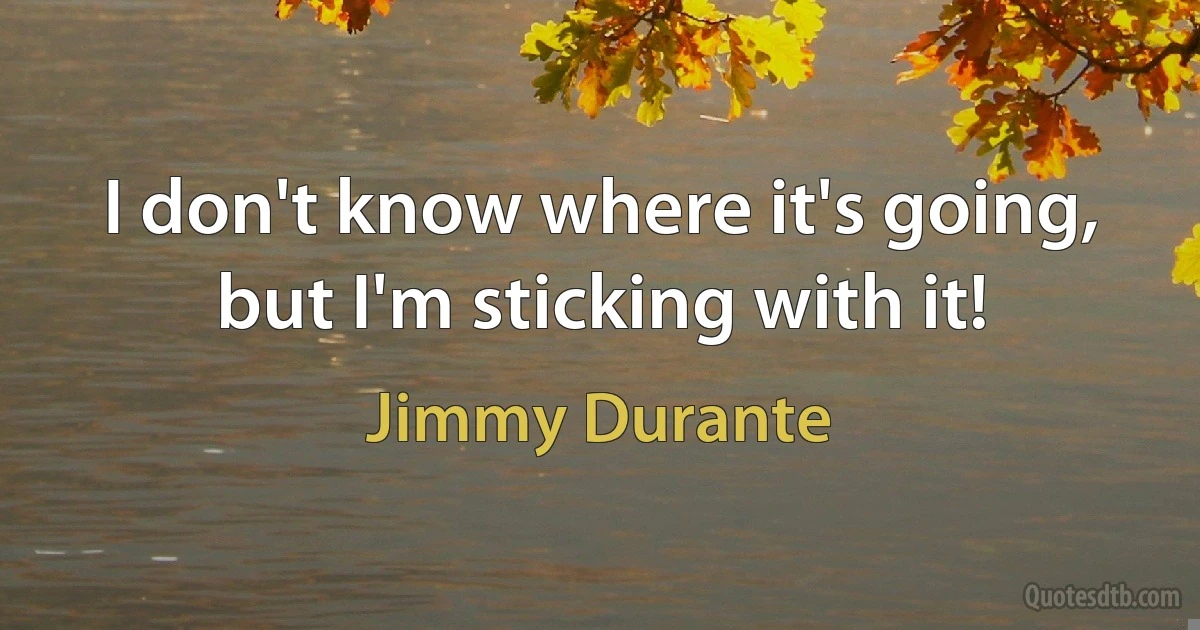 I don't know where it's going, but I'm sticking with it! (Jimmy Durante)