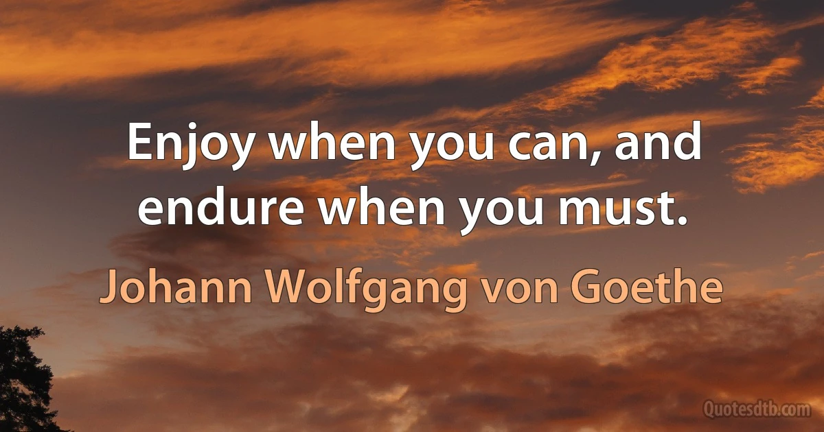 Enjoy when you can, and endure when you must. (Johann Wolfgang von Goethe)