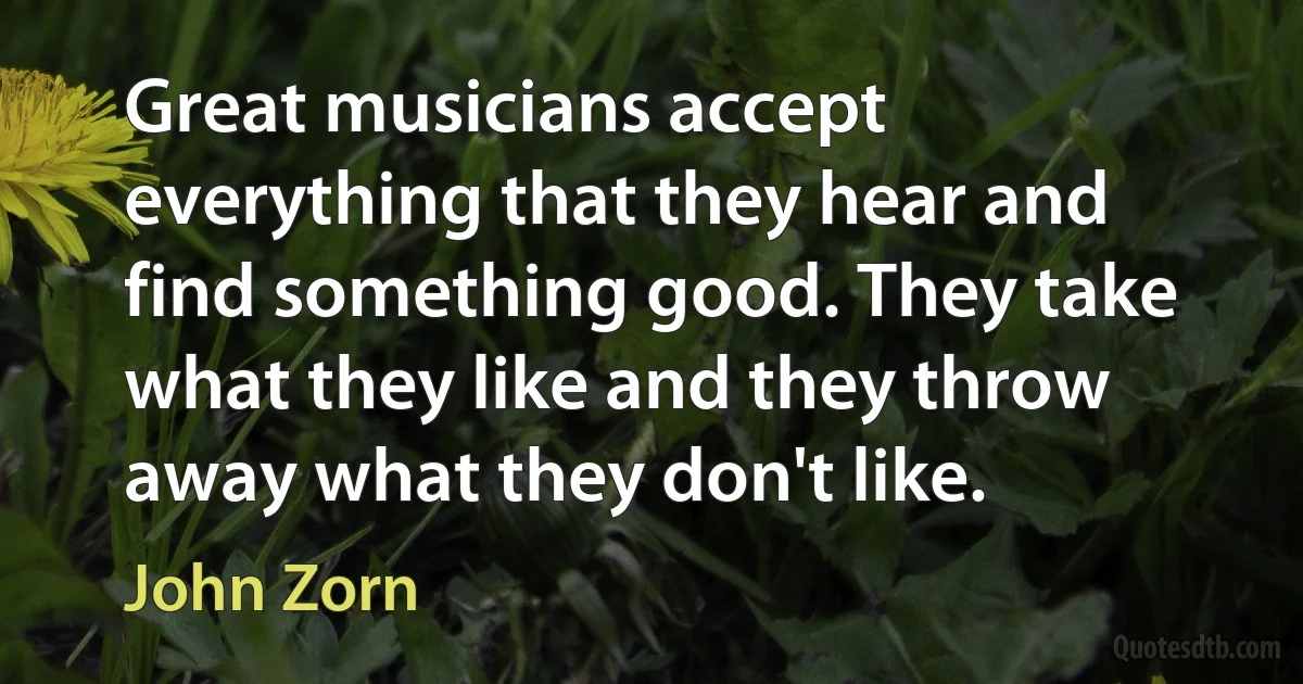 Great musicians accept everything that they hear and find something good. They take what they like and they throw away what they don't like. (John Zorn)