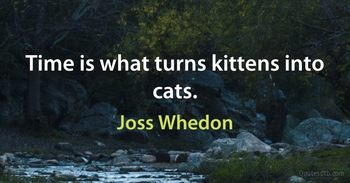 Time is what turns kittens into cats. (Joss Whedon)