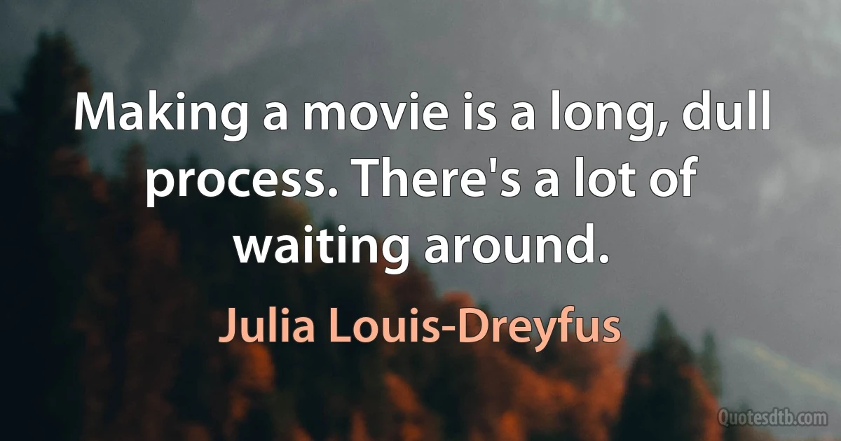 Making a movie is a long, dull process. There's a lot of waiting around. (Julia Louis-Dreyfus)