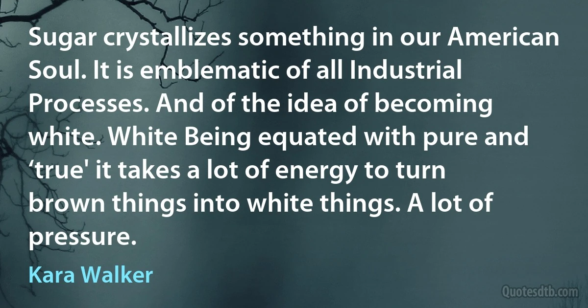 Sugar crystallizes something in our American Soul. It is emblematic of all Industrial Processes. And of the idea of becoming white. White Being equated with pure and ‘true' it takes a lot of energy to turn brown things into white things. A lot of pressure. (Kara Walker)