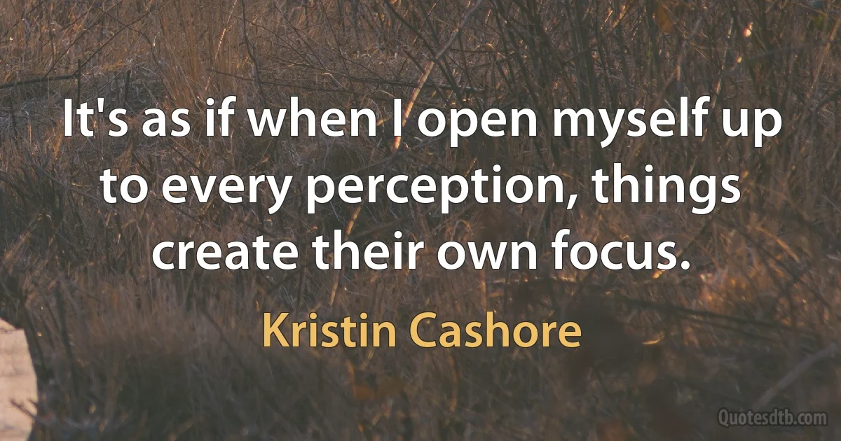 It's as if when I open myself up to every perception, things create their own focus. (Kristin Cashore)