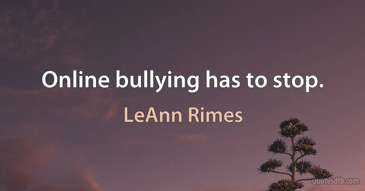 Online bullying has to stop. (LeAnn Rimes)