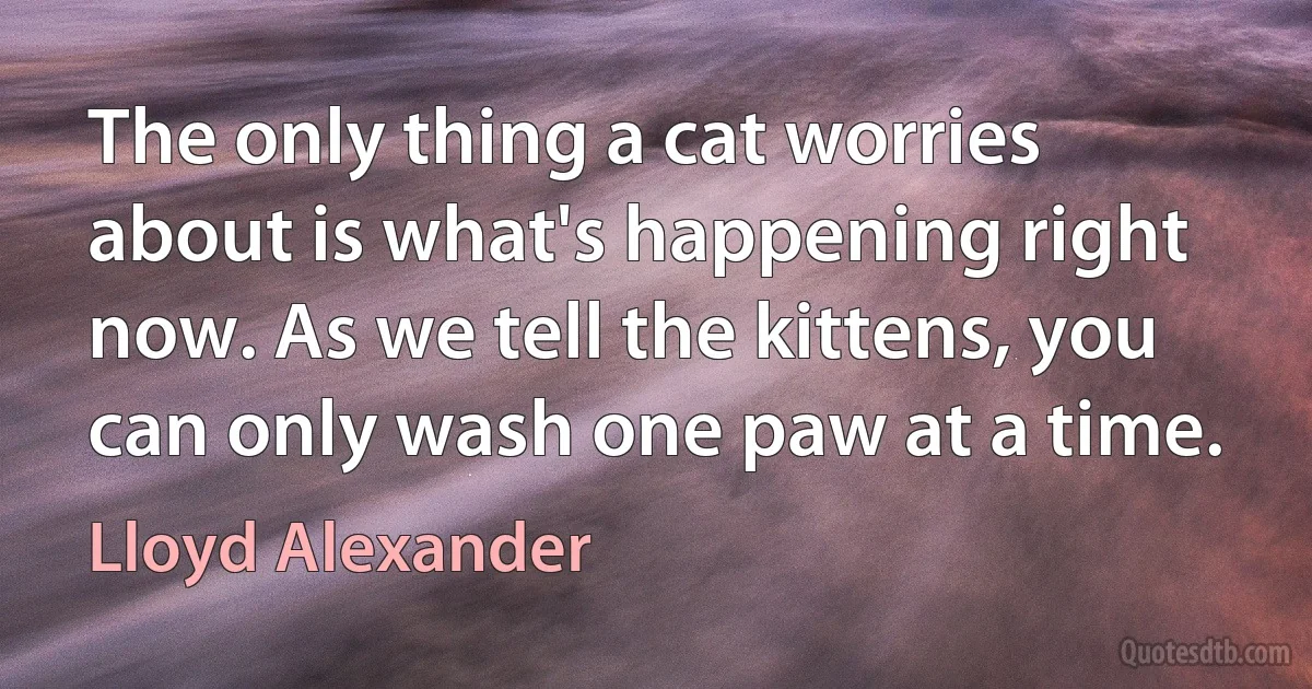 The only thing a cat worries about is what's happening right now. As we tell the kittens, you can only wash one paw at a time. (Lloyd Alexander)