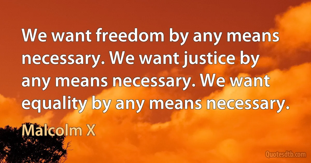 We want freedom by any means necessary. We want justice by any means necessary. We want equality by any means necessary. (Malcolm X)