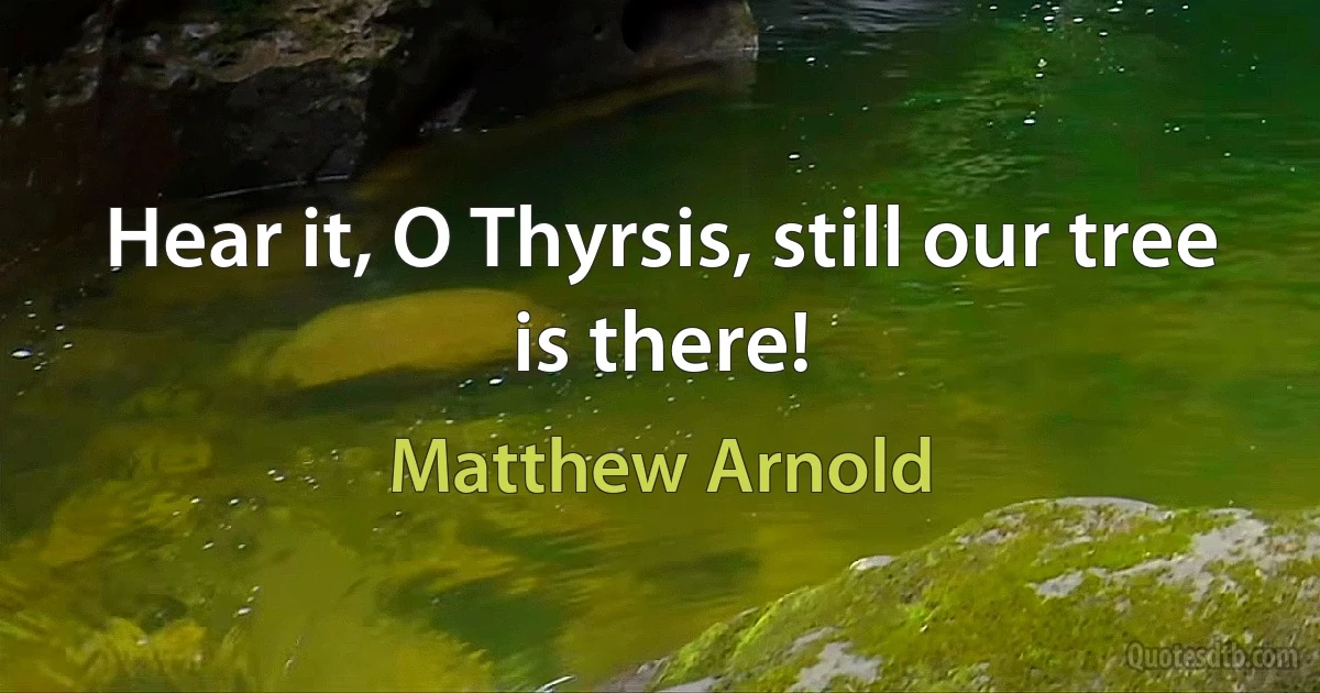 Hear it, O Thyrsis, still our tree is there! (Matthew Arnold)