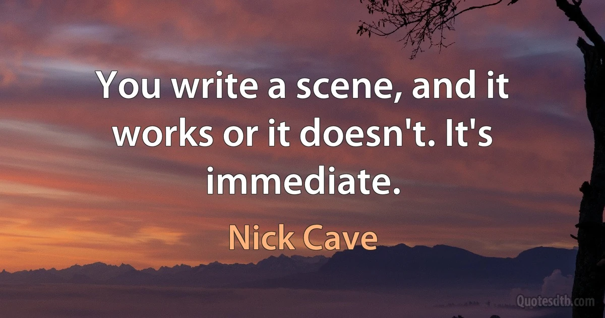 You write a scene, and it works or it doesn't. It's immediate. (Nick Cave)