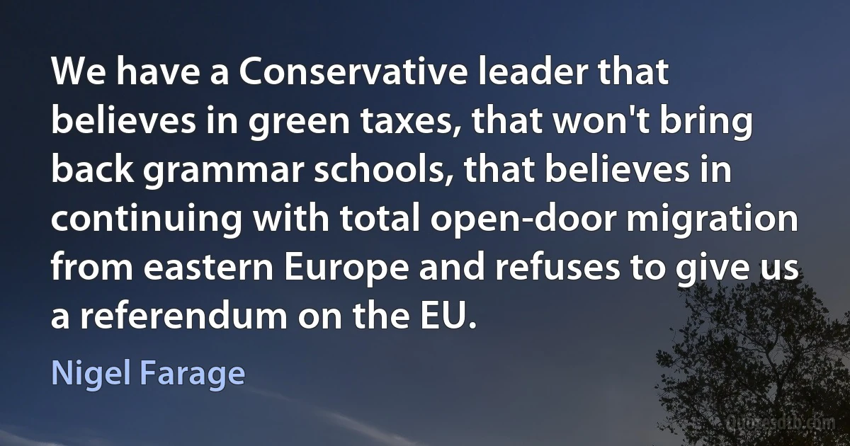 We have a Conservative leader that believes in green taxes, that won't bring back grammar schools, that believes in continuing with total open-door migration from eastern Europe and refuses to give us a referendum on the EU. (Nigel Farage)