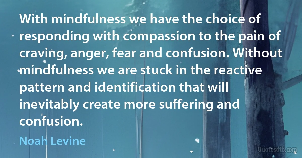 With mindfulness we have the choice of responding with compassion to the pain of craving, anger, fear and confusion. Without mindfulness we are stuck in the reactive pattern and identification that will inevitably create more suffering and confusion. (Noah Levine)