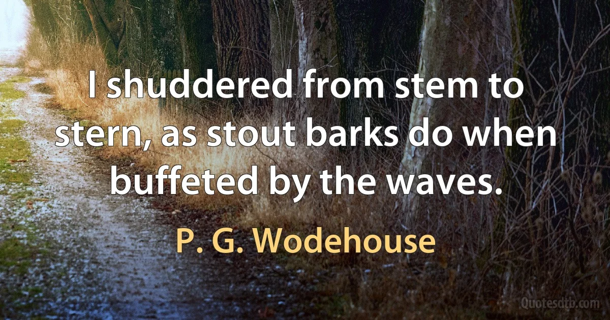 I shuddered from stem to stern, as stout barks do when buffeted by the waves. (P. G. Wodehouse)