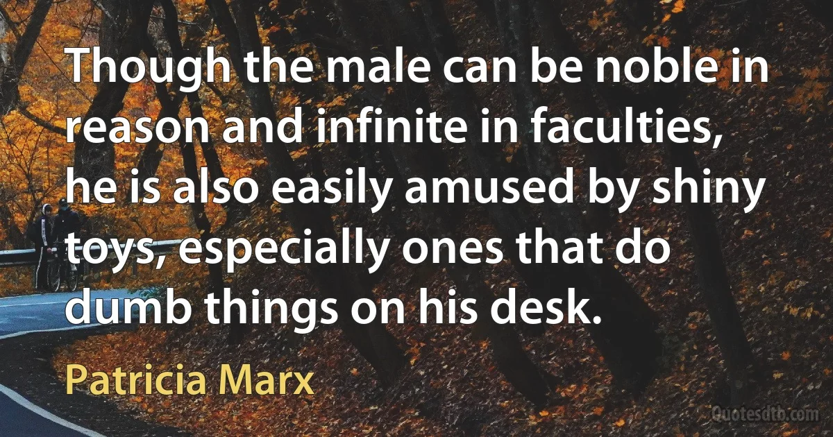 Though the male can be noble in reason and infinite in faculties, he is also easily amused by shiny toys, especially ones that do dumb things on his desk. (Patricia Marx)