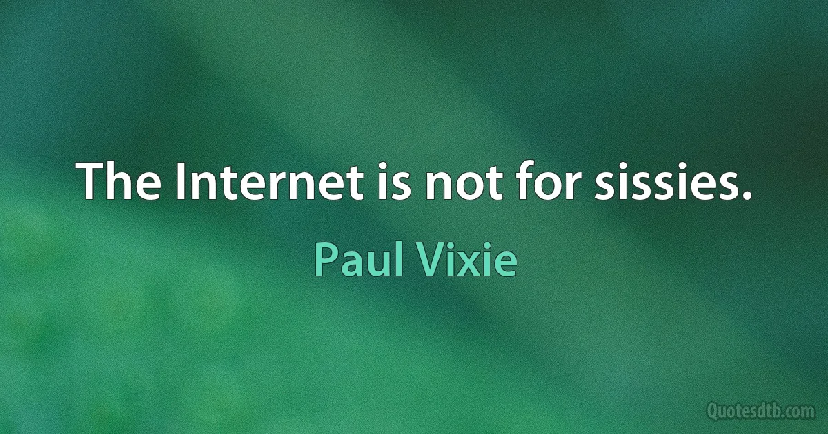 The Internet is not for sissies. (Paul Vixie)