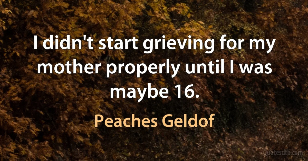 I didn't start grieving for my mother properly until I was maybe 16. (Peaches Geldof)