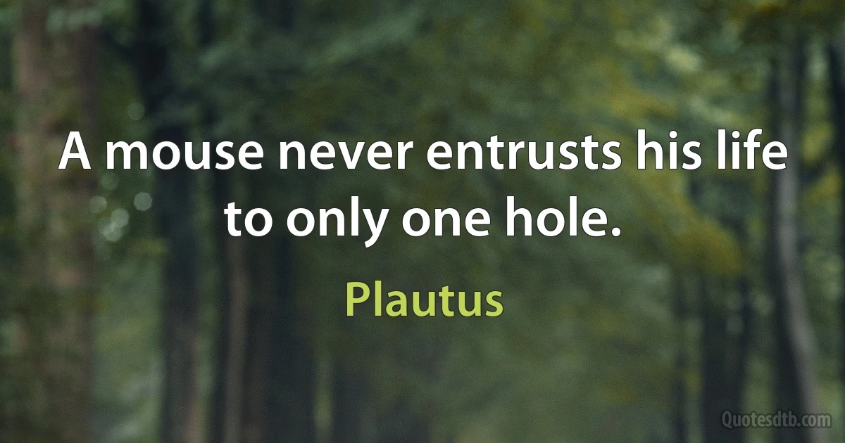 A mouse never entrusts his life to only one hole. (Plautus)