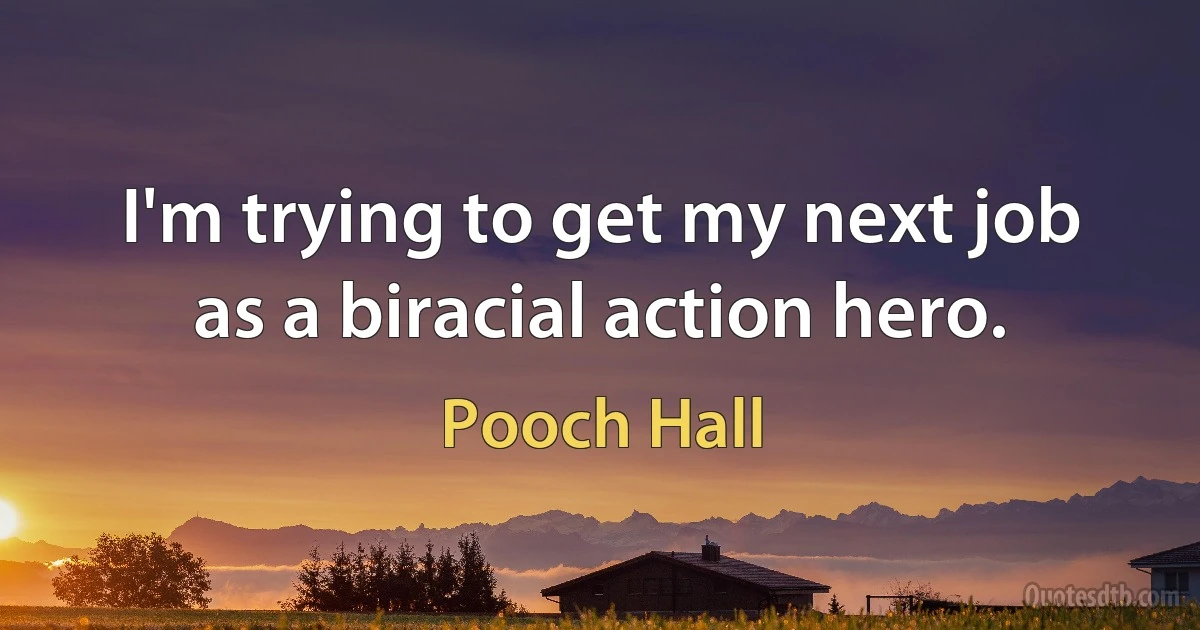 I'm trying to get my next job as a biracial action hero. (Pooch Hall)