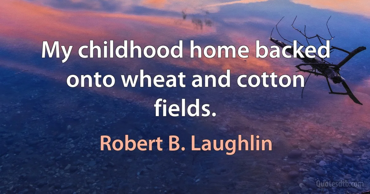 My childhood home backed onto wheat and cotton fields. (Robert B. Laughlin)