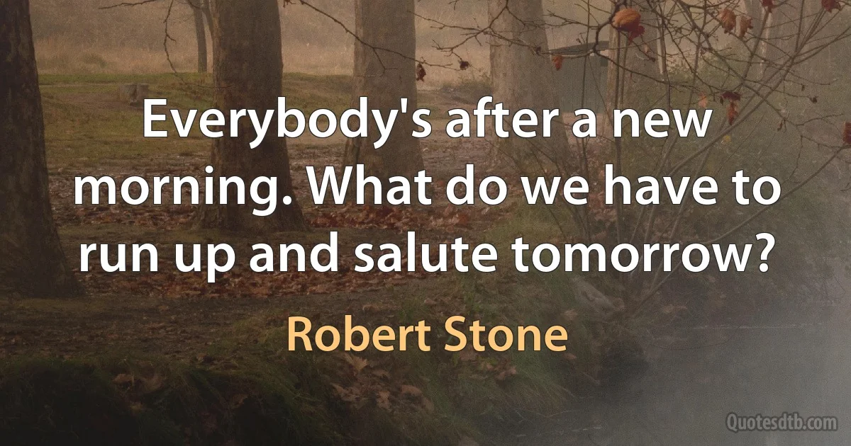 Everybody's after a new morning. What do we have to run up and salute tomorrow? (Robert Stone)