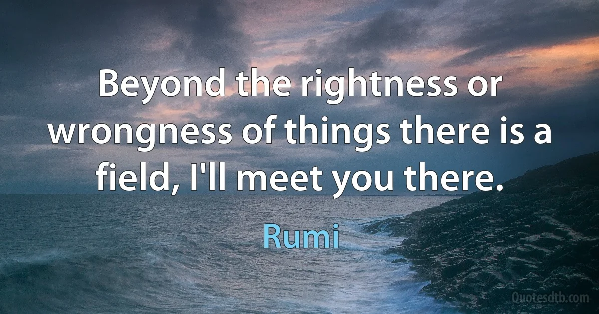 Beyond the rightness or wrongness of things there is a field, I'll meet you there. (Rumi)