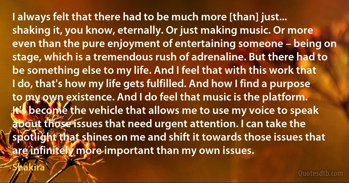 I always felt that there had to be much more [than] just... shaking it, you know, eternally. Or just making music. Or more even than the pure enjoyment of entertaining someone – being on stage, which is a tremendous rush of adrenaline. But there had to be something else to my life. And I feel that with this work that I do, that's how my life gets fulfilled. And how I find a purpose to my own existence. And I do feel that music is the platform. It's become the vehicle that allows me to use my voice to speak about those issues that need urgent attention. I can take the spotlight that shines on me and shift it towards those issues that are infinitely more important than my own issues. (Shakira)