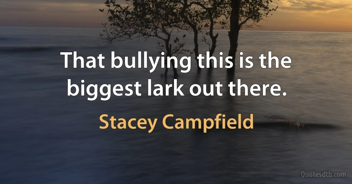 That bullying this is the biggest lark out there. (Stacey Campfield)